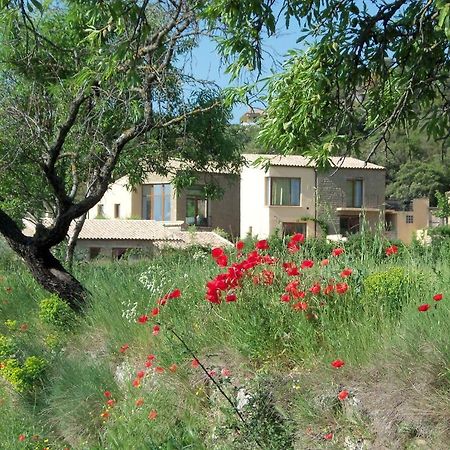 Гостьовий будинок Alen D'Aragon Santa Eulalia de Gallego Екстер'єр фото