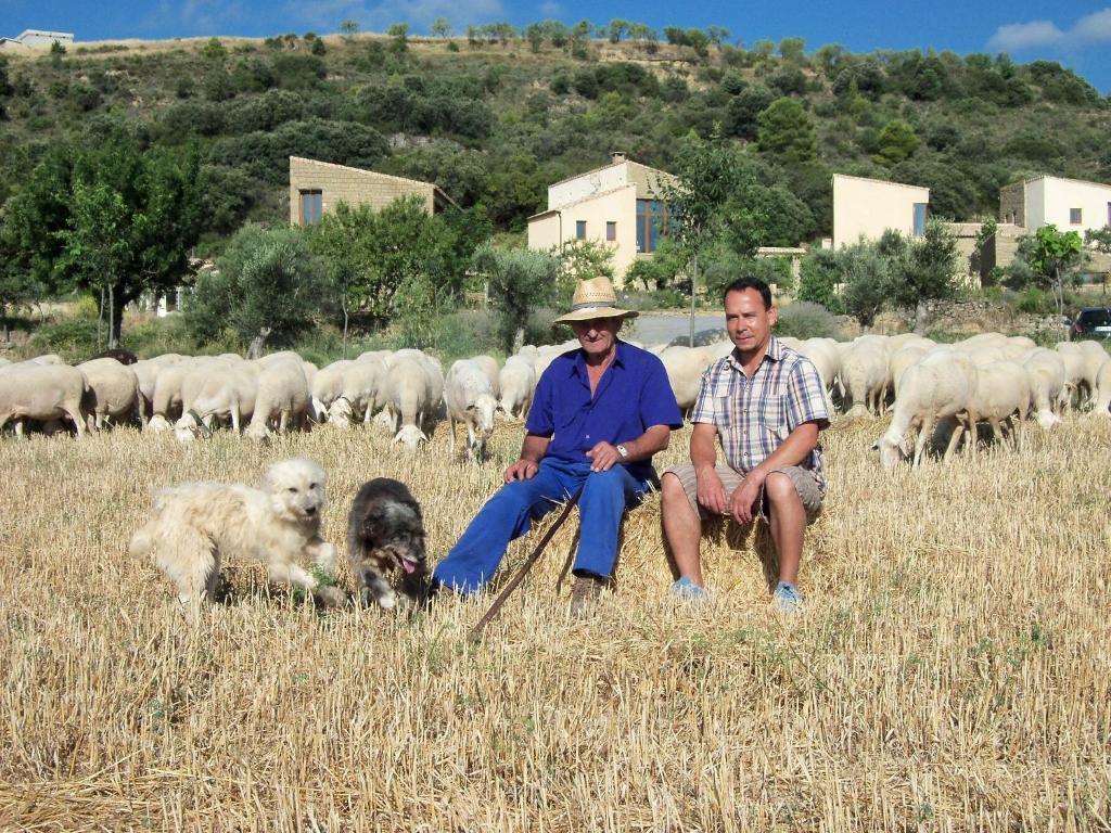 Гостьовий будинок Alen D'Aragon Santa Eulalia de Gallego Екстер'єр фото